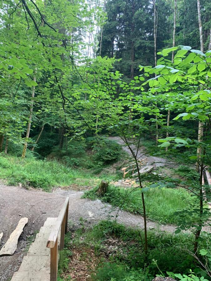 Wanderglueck Am Gehrenberg Apartment Markdorf