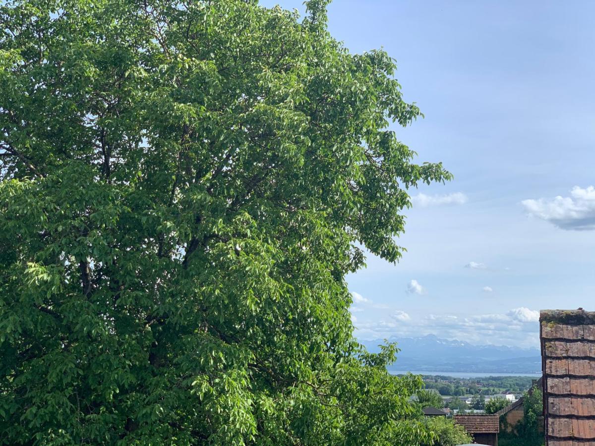 Wanderglueck Am Gehrenberg Apartment Markdorf